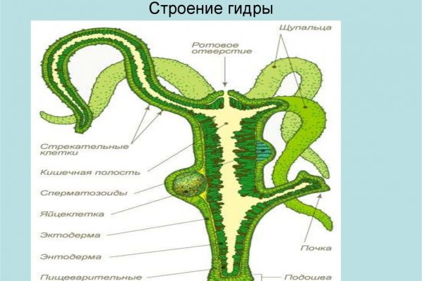 Кракен наркомаркет